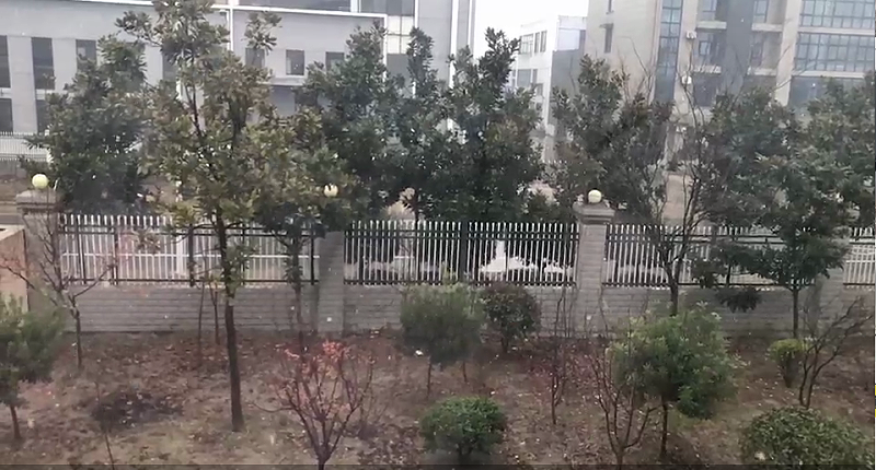 雪景 2020下雪啦 揚子江空調集團有限公司